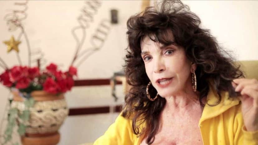 Lady Francisco foi atacada por cães ferozes (Foto: Divulgação) Lady Francisco foi atacada por cães ferozes (Foto: Divulgação)