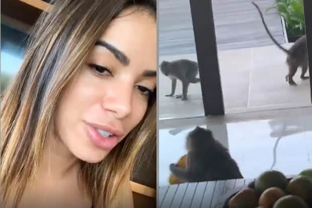 Anitta é atacada por macacos na Indonésia (Foto: Divulgação) Anitta é atacada por macacos na Indonésia (Foto: Divulgação)