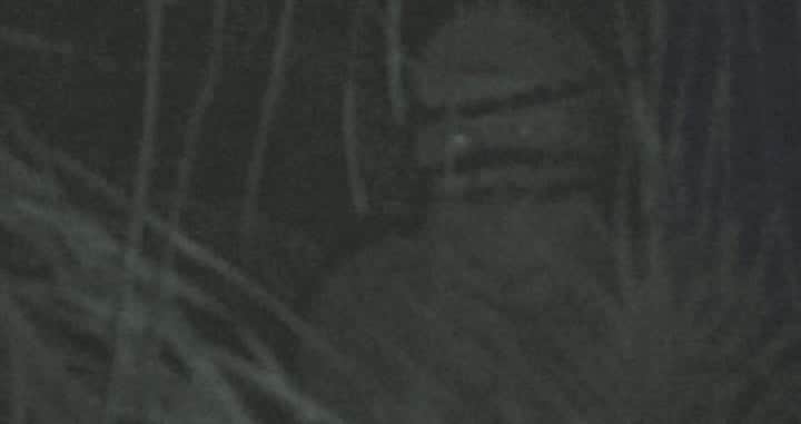 ET Bilu ganhou destaque em alguns programas na TV. (Foto: Reprodução) ET Bilu ganhou destaque em alguns programas na TV. (Foto: Reprodução)