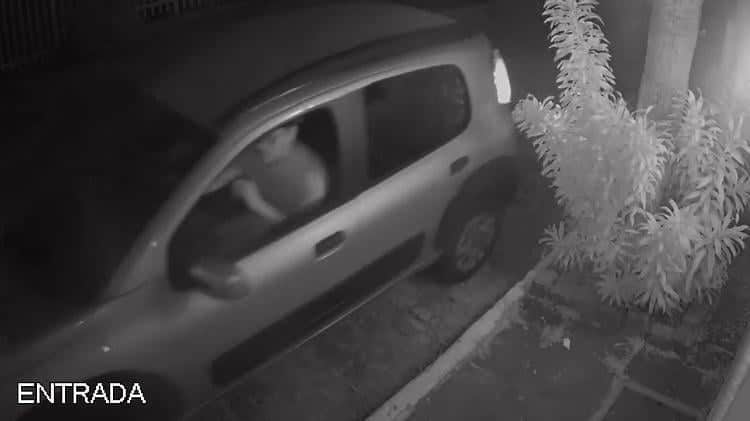 Na imagem, Flavio volta para casa, mas sem os policiais que disse que tinha ido buscar. Imagens de Flávio deixando a casa de Anderson momentos depois do crime. (Imagem: Reprodução/Polícia Civil RJ) Na imagem, Flavio volta para casa, mas sem os policiais que disse que tinha ido buscar. Imagens de Flávio deixando a casa de Anderson momentos depois do crime. (Imagem: Reprodução/Polícia Civil RJ)