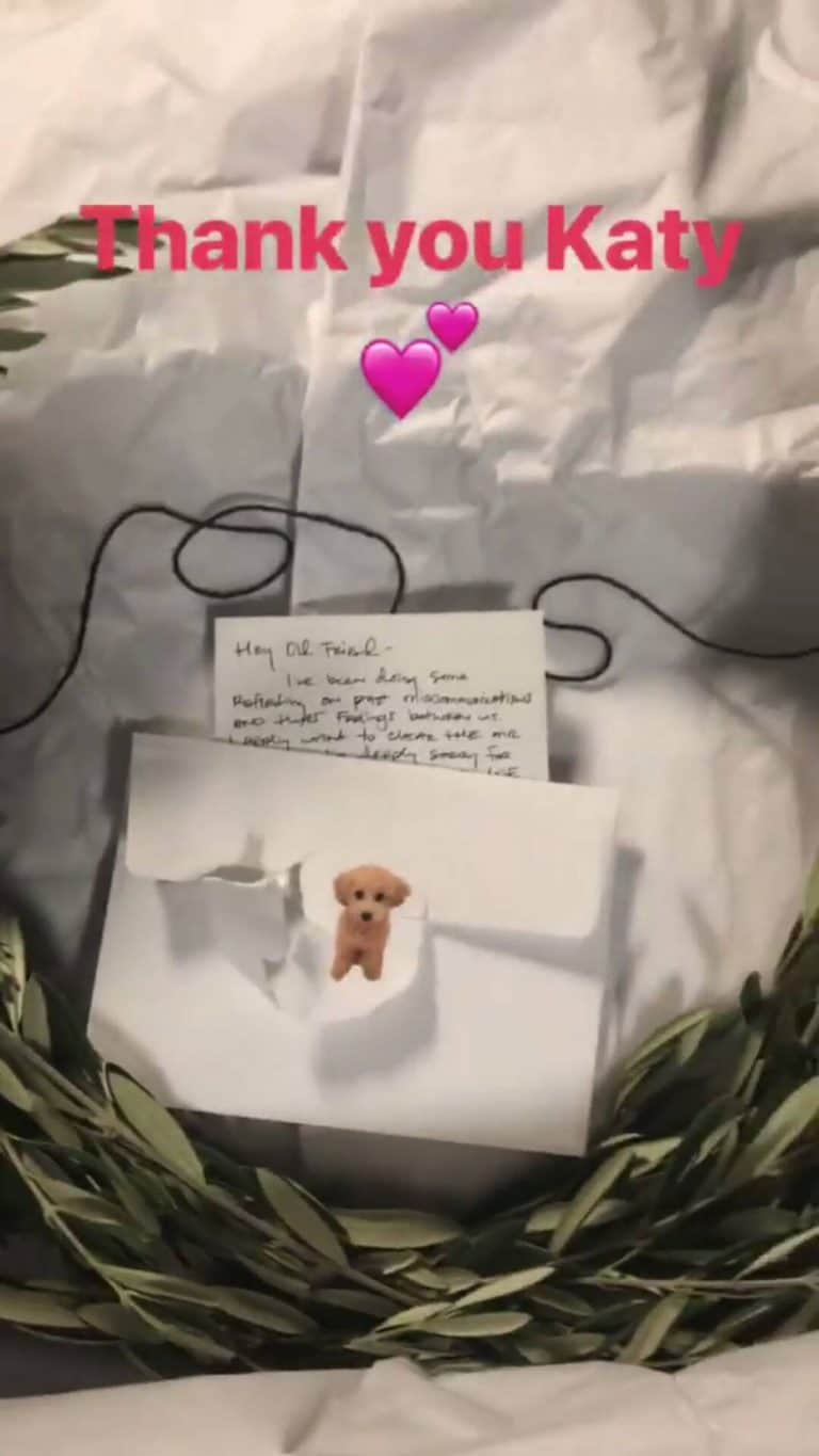 Presente da cantota Katy Perry a sua amiga profissional Taylor Swift (Foto: Reprodução) Presente da cantota Katy Perry a sua amiga profissional Taylor Swift (Foto: Reprodução)