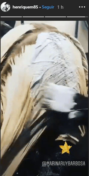 http://tvfoco.uai.com.br/wp-content/uploads/2015/05/Daniela-Mercury.jpg http://tvfoco.uai.com.br/wp-content/uploads/2015/05/Daniela-Mercury.jpg