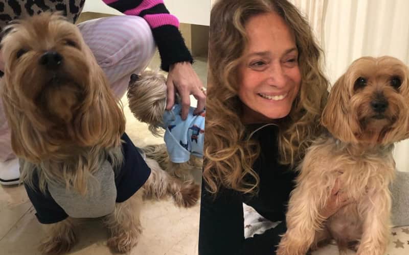 Susana, da Globo, que é uma das famosas que ama tirar fotos com os seus bichinhos de estimação dispensou maquiagem Foto: Reprodução Susana, da Globo, que é uma das famosas que ama tirar fotos com os seus bichinhos de estimação dispensou maquiagem Foto: Reprodução