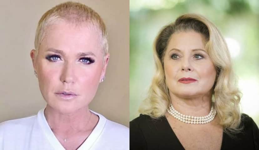 Xuxa e Vera Fischer atuaram no mesmo filme (Foto: Montagem/TV Foco) Xuxa e Vera Fischer atuaram no mesmo filme (Foto: Montagem/TV Foco)