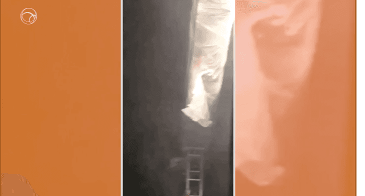 http://tvfoco.uai.com.br/wp-content/uploads/2015/05/Daniela-Mercury.jpg