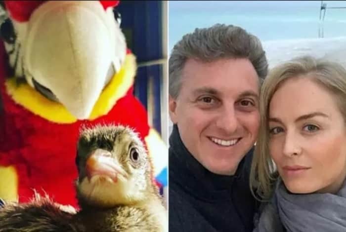 Luciano Huck, Angélica e Pavão - Reprodução da internet Luciano Huck, Angélica e Pavão - Reprodução da internet