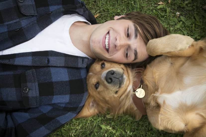 Globo vai exibir filme Quatro Vidas de um Cachorro na Sessão da Tarde (Foto: Reprodução) Globo vai exibir filme Quatro Vidas de um Cachorro na Sessão da Tarde (Foto: Reprodução)