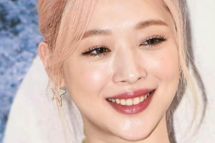 Após suicídio da cantora K_Pop Sulli, lei é criada para tentar acabar com o bullyin virtual (Foto: Reprodução) Após suicídio da cantora K_Pop Sulli, lei é criada para tentar acabar com o bullyin virtual (Foto: Reprodução)