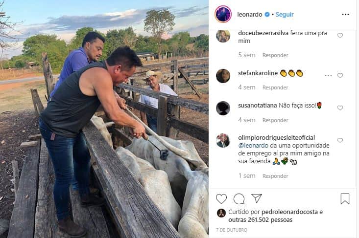 O sertanejo foi duramente criticado ao ser flagrado marcado alguns bois em sua fazenda (foto: reprodução/Instagram) O sertanejo foi duramente criticado ao ser flagrado marcado alguns bois em sua fazenda (foto: reprodução/Instagram)