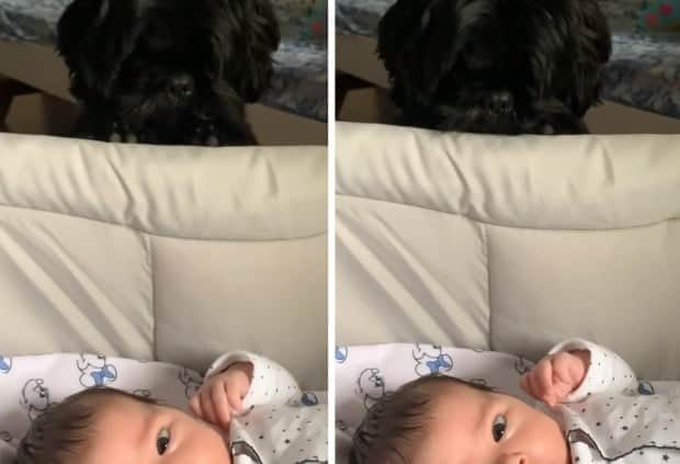 Clara Maria, filha de Rafael Vitti e Tatá Werneck (Foto: Reprodução/Instagram) Clara Maria, filha de Rafael Vitti e Tatá Werneck (Foto: Reprodução/Instagram)