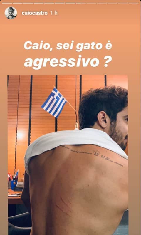 Caio Castro mostrou as costas após ser arranhado por gato de estimação (Foto: Reprodução/ Instagram) Caio Castro mostrou as costas após ser arranhado por gato de estimação (Foto: Reprodução/ Instagram)