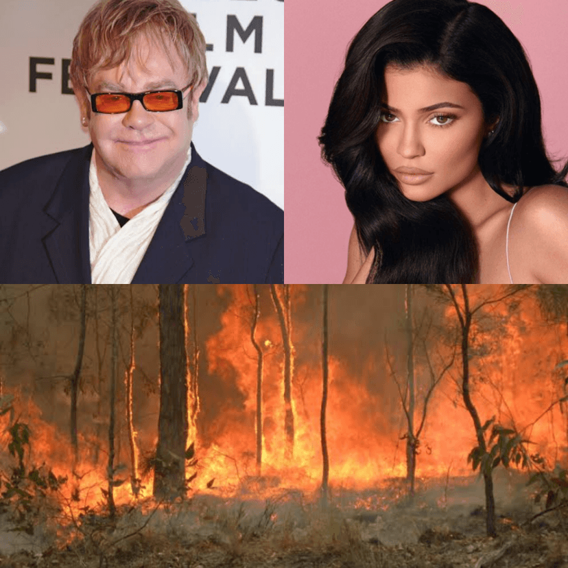 Veja a lista de celebridades que fizeram doações para combater os incêndios na Austrália (Foto: Reprodução) Veja a lista de celebridades que fizeram doações para combater os incêndios na Austrália (Foto: Reprodução)