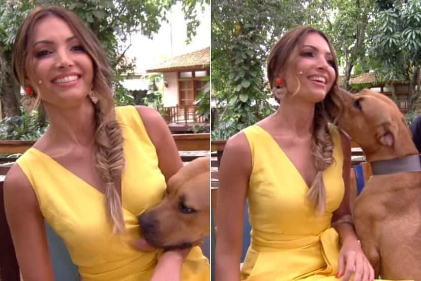 Patrícia Poeta não escondeu o quanto ficou desconfortável por está ao lado de um cachorro da raça pitbull (Foto: Reprodução/ Globo) Patrícia Poeta não escondeu o quanto ficou desconfortável por está ao lado de um cachorro da raça pitbull (Foto: Reprodução/ Globo)