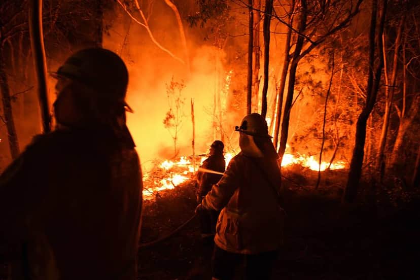Veja a lista de celebridades que fizeram doações para combater os incêndios na Austrália (Foto: Reprodução) Veja a lista de celebridades que fizeram doações para combater os incêndios na Austrália (Foto: Reprodução)