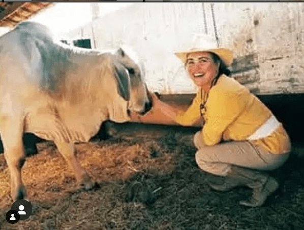 José publicou foto de Regina Duarte cuidando de animal (Foto: Reprodução) Bolsonaro José publicou foto de Regina Duarte cuidando de animal (Foto: Reprodução) Bolsonaro