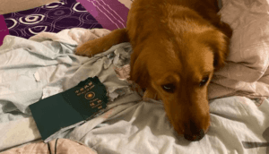 Mulher deixa de entrar em contato com o coronavírus graças à seu cachorro (Foto: Reprodução/Facebook)