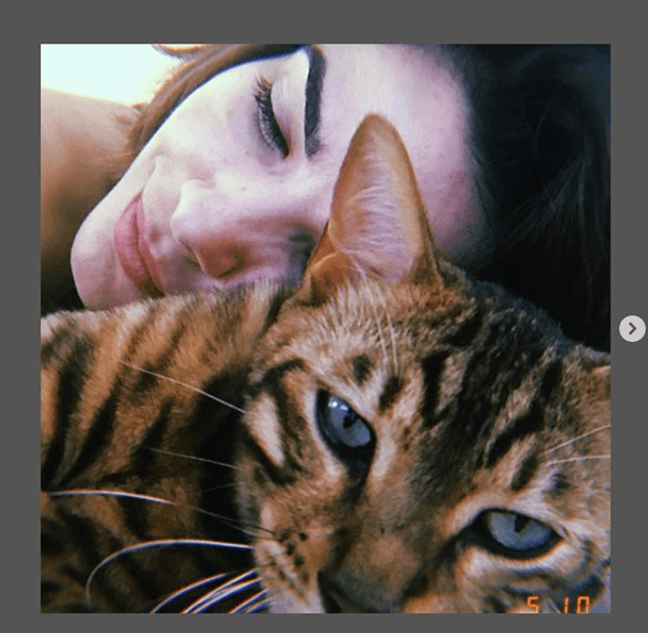 Vanessa Giácomo perdeu gatinho (Foto: Reprodução/ Instagram) Vanessa Giácomo perdeu gatinho (Foto: Reprodução/ Instagram)