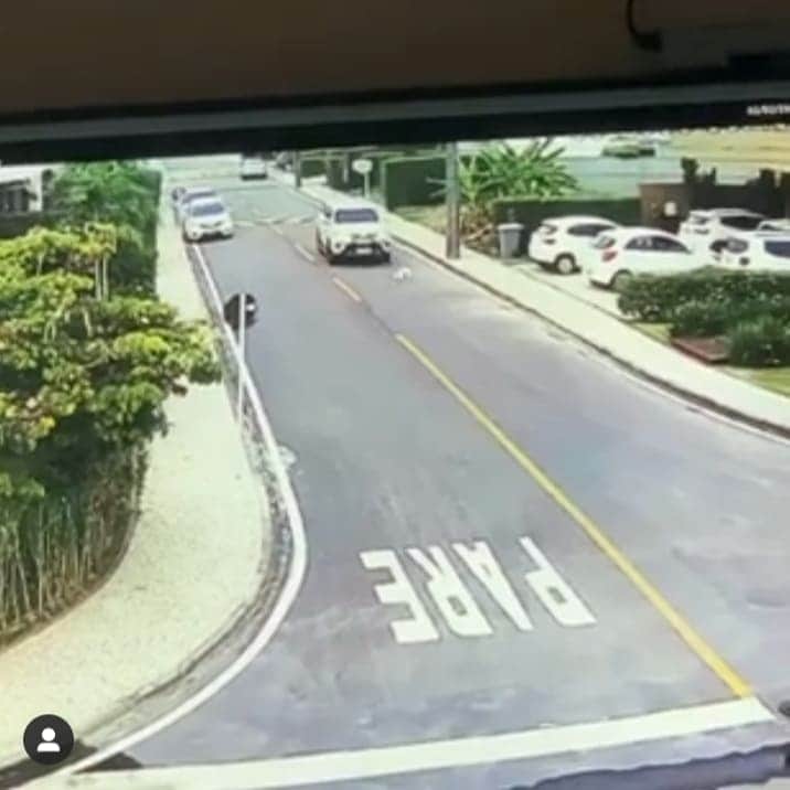 mofi paraíba record mofi paraíba record