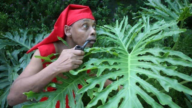 2020: Ornelas Filho morreu aos 61 anos de idade (Foto: Reprodução) 2020: Ornelas Filho morreu aos 61 anos de idade (Foto: Reprodução)