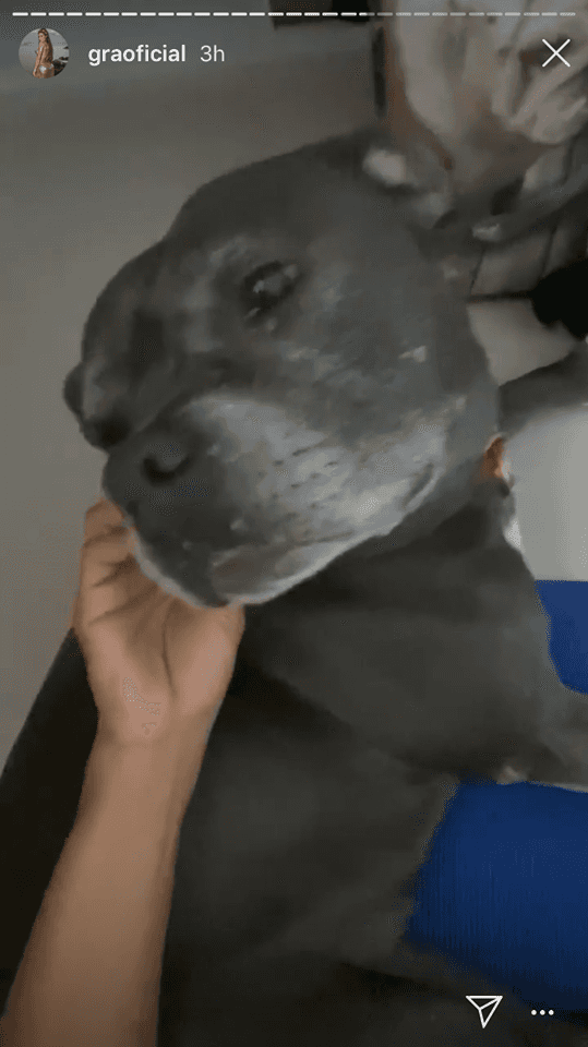 http://tvfoco.uai.com.br/wp-content/uploads/2015/05/Daniela-Mercury.jpg http://tvfoco.uai.com.br/wp-content/uploads/2015/05/Daniela-Mercury.jpg