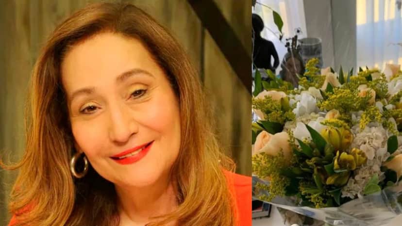 Sonia Abrão exibiu mimo em suas redes sociais (Foto: Reprodução/RedeTV!/Instagram) Sonia Abrão exibiu mimo em suas redes sociais (Foto: Reprodução/RedeTV!/Instagram)
