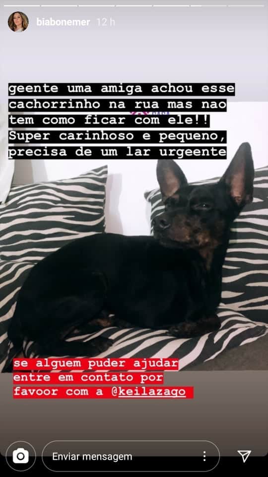 bia bonemer bia bonemer