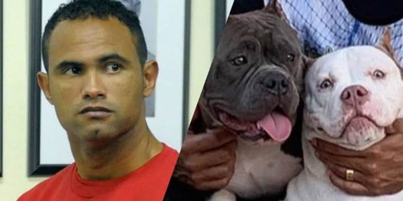 Em 2013, Goleiro Bruno foi condenado pela morte de Eliza Samudio. (Montagem: TV Foco) Em 2013, Goleiro Bruno foi condenado pela morte de Eliza Samudio. (Montagem: TV Foco)
