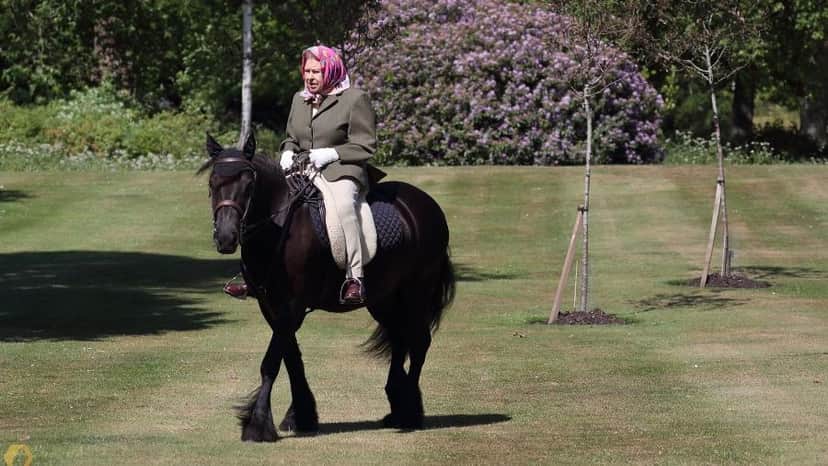 Amante de montaria, Elizabeth II troca cavalos por pônei (Foto: Reprodução) Amante de montaria, Elizabeth II troca cavalos por pônei (Foto: Reprodução)