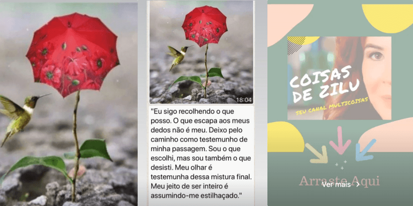 Prints Stories Zilu (Foto: Reprodução) Prints Stories Zilu (Foto: Reprodução)