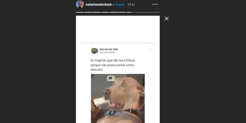 Natasha Dantas compartilhou post divertido nas redes sociais (Foto: Reprodução/Instagram) Natasha Dantas compartilhou post divertido nas redes sociais (Foto: Reprodução/Instagram)