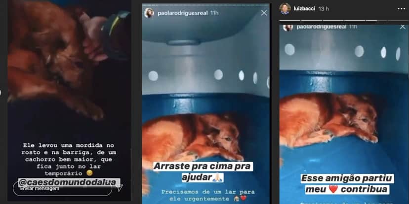 Luiz Bacci pediu a ajuda de seus seguidores (Foto: reprodução) Luiz Bacci pediu a ajuda de seus seguidores (Foto: reprodução)