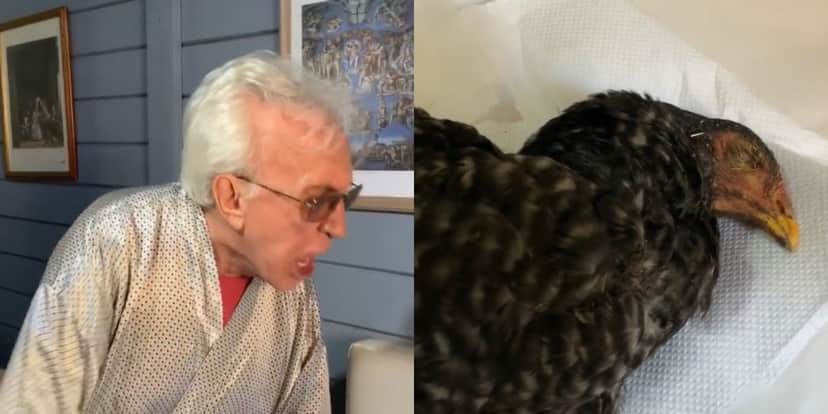 Moacyr Franco "brigou" com galinha (Foto: Reprodução/Instagram) Moacyr Franco "brigou" com galinha (Foto: Reprodução/Instagram)