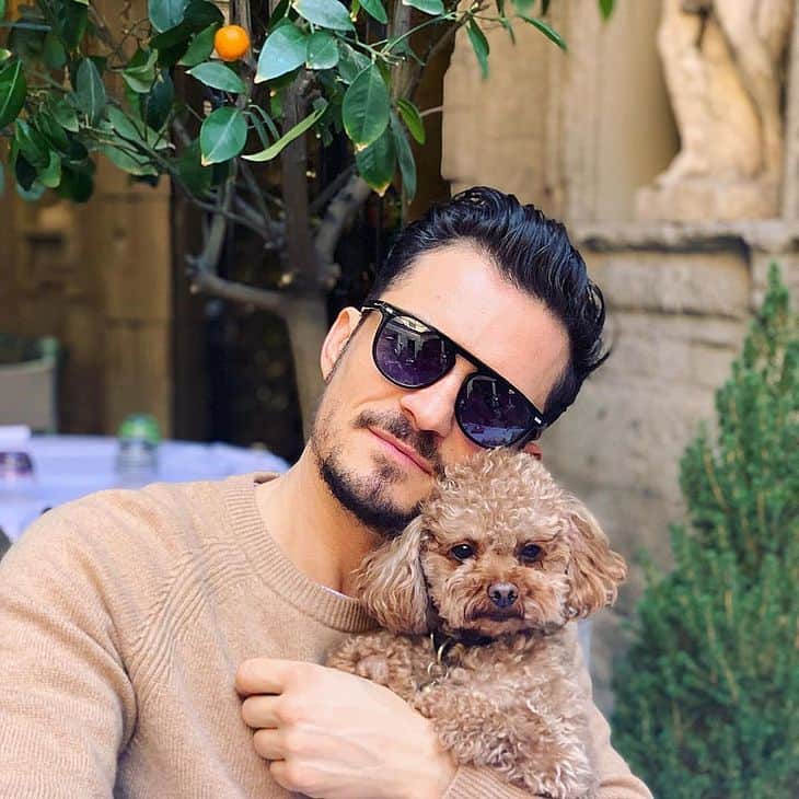 Orlando Bloom e seu cachorro de estimação (Foto: Reprodução) Orlando Bloom e seu cachorro de estimação (Foto: Reprodução)