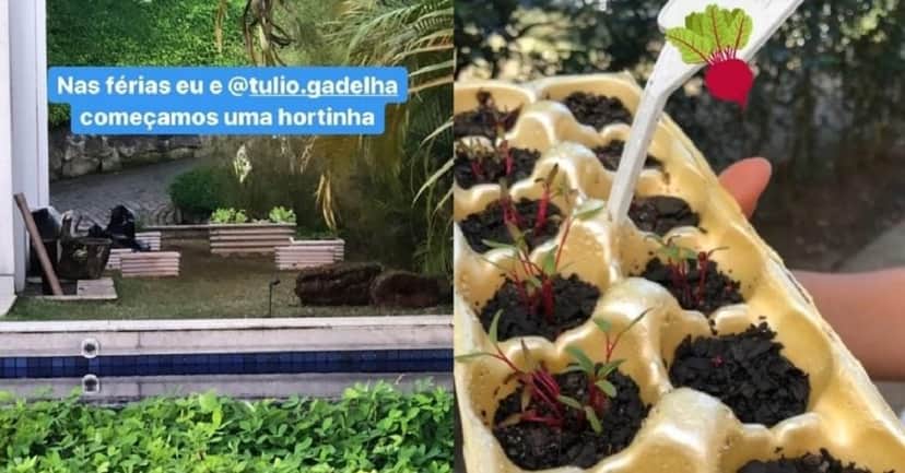 Horta feita por Fátima Bernardes com Túlio Gadêlha. (Foto: Reprodução) Horta feita por Fátima Bernardes com Túlio Gadêlha. (Foto: Reprodução)