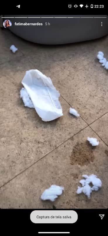 Os cachorros promoveram uma grande bagunça na casa da apresentadora Foto: Reprodução/ Instagram) Os cachorros promoveram uma grande bagunça na casa da apresentadora Foto: Reprodução/ Instagram)