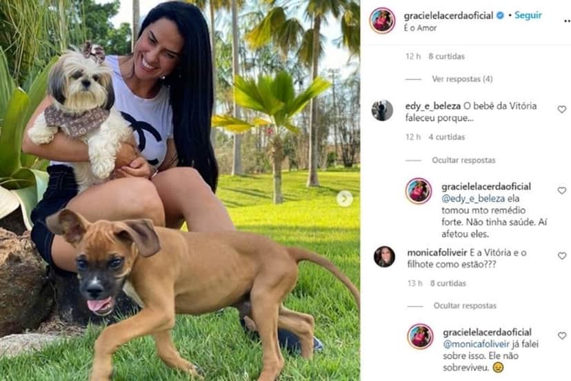 Respostas de Graciele Lacerda a comentários de seguidores (Foto: Reprodução) Respostas de Graciele Lacerda a comentários de seguidores (Foto: Reprodução)