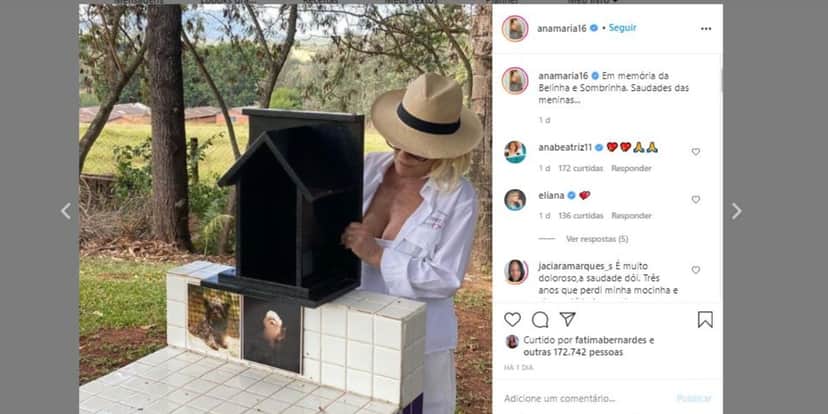 Ana Maria Braga compartilhou clique com suas falecidas cachorrinhas (Foto: Reprodução/Instagram) Ana Maria Braga compartilhou clique com suas falecidas cachorrinhas (Foto: Reprodução/Instagram)