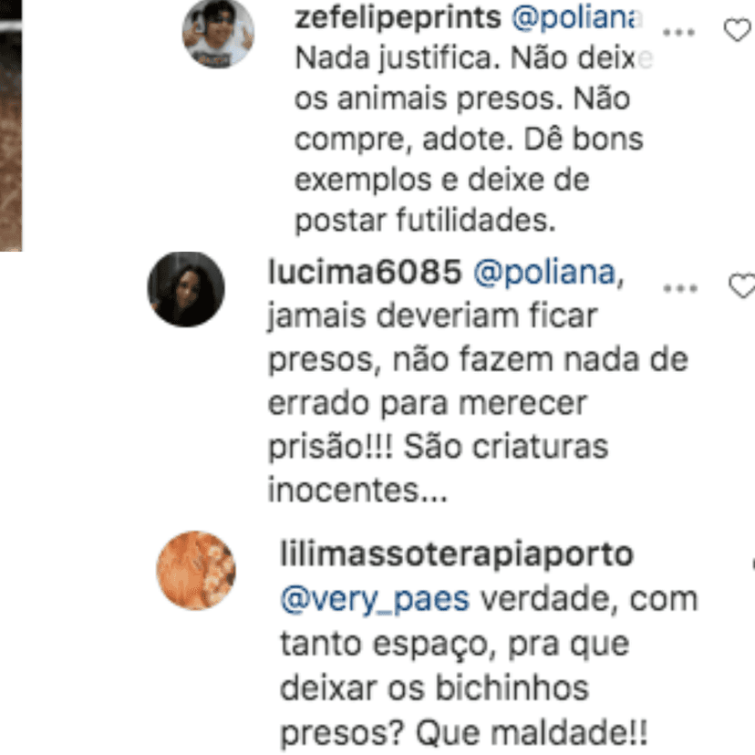 Poliana Rocha vê comentários sobre canil (Foto: Montagem) Poliana Rocha vê comentários sobre canil (Foto: Montagem)