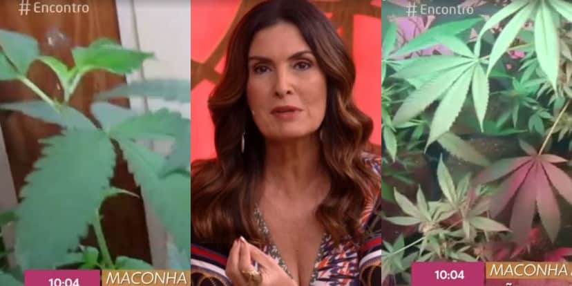Fátima Bernardes falou sobre o uso de maconha medicinal no "Encontro" (Foto: Reprodução/TV Globo) Fátima Bernardes falou sobre o uso de maconha medicinal no "Encontro" (Foto: Reprodução/TV Globo)