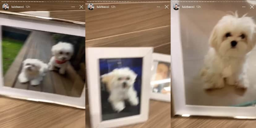 Luiz Bacci expôs fotos de Toy em seu camarim (Foto: reprodução/Instagram) Luiz Bacci expôs fotos de Toy em seu camarim (Foto: reprodução/Instagram)