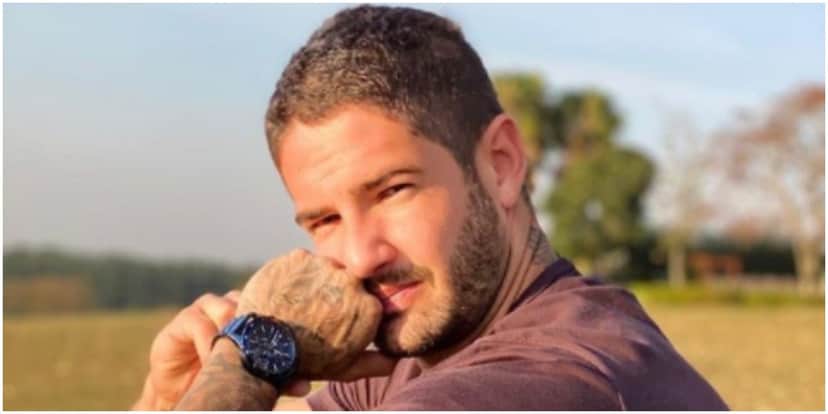 Pato se declarou para Rebeca Abravanel e recebeu pedidos de volta de torcedores (Foto: Reprodução) Pato se declarou para Rebeca Abravanel e recebeu pedidos de volta de torcedores (Foto: Reprodução)