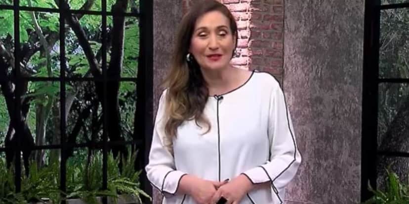 Sonia Abrão no A Tarde é Sua de hoje (Foto: Reprodução/RedeTV!) Sonia Abrão no A Tarde é Sua de hoje (Foto: Reprodução/RedeTV!)