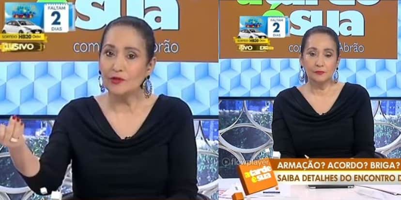 Sonia Abrão se revoltou no "A Tarde é Sua" (Foto: Reprodução/RedeTV!) Sonia Abrão se revoltou no "A Tarde é Sua" (Foto: Reprodução/RedeTV!)