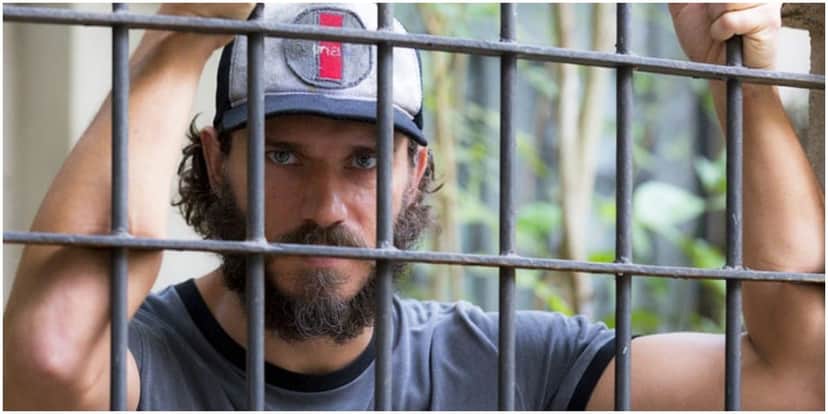 Dino em cena da novela das 19h, Totalmente Demais - Foto: Reprodução Dino em cena da novela das 19h, Totalmente Demais - Foto: Reprodução