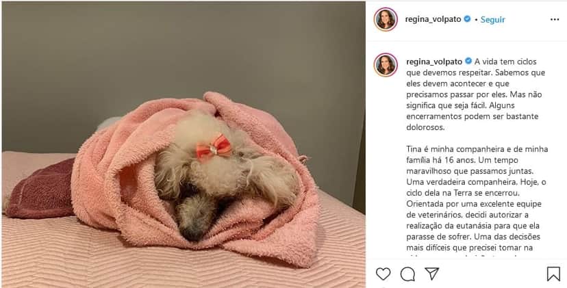 Publicação de Regina Volpato se despedindo da sua cachorra Tina (Foto: Reprodução) Publicação de Regina Volpato se despedindo da sua cachorra Tina (Foto: Reprodução)