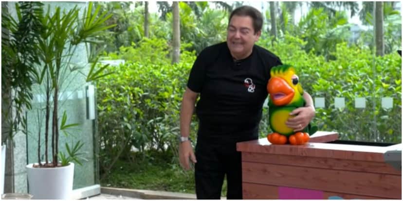 Faustão e o papagaio Louro José - Foto: Reprodução Faustão e o papagaio Louro José - Foto: Reprodução