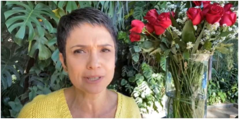 Sandra Annenberg fez um alerta nas redes sociais e chamou a atenção (Foto: Reprodução) Sandra Annenberg fez um alerta nas redes sociais e chamou a atenção (Foto: Reprodução)