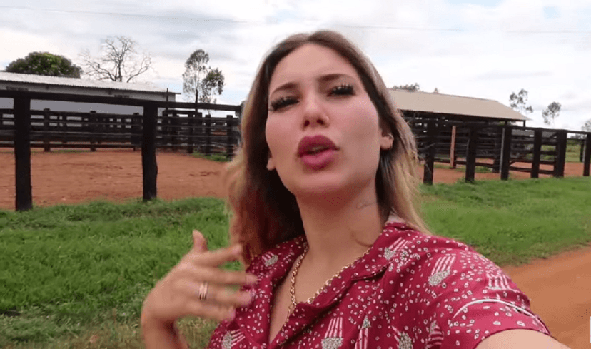 Virgínia Fonseca (Foto: Reprodução)