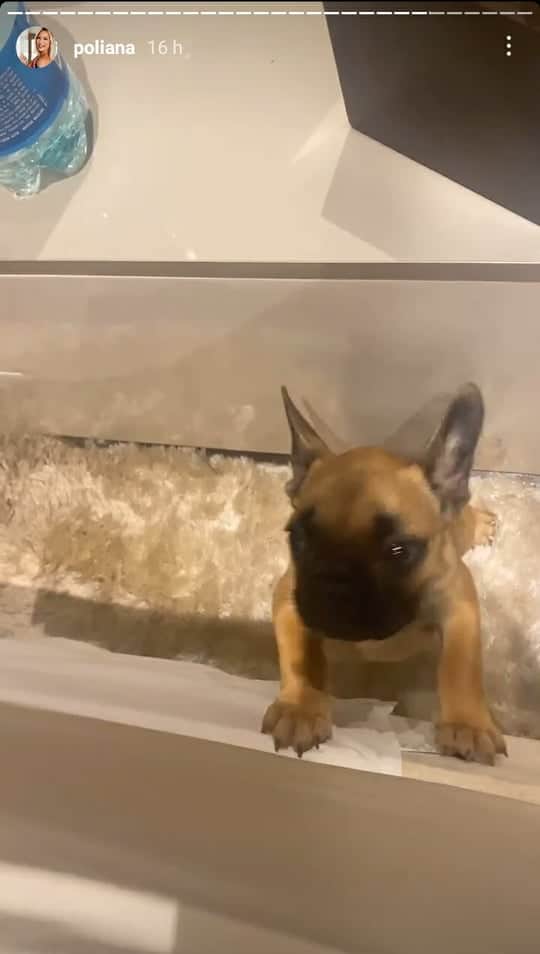 Poliana Rocha Poliana Rocha