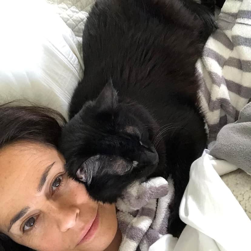 Daniela Escobar com seu gatinho de estimação (Reprodução) Daniela Escobar com seu gatinho de estimação (Reprodução)